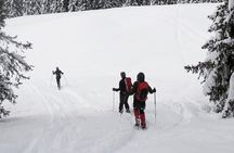 Snowshoeing in Sethan Village, Manali