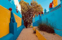 Exploration of Nubian Village in Aswan by Private Motorboat