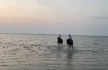 Private Horse Riding Experience at Red Sea