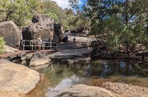 Full-day Tour at the Atherton Tablelands with Food Tasting 