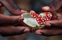 Zanzibar Spice tour