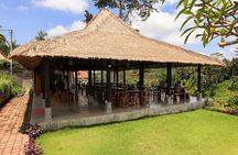Bali Kayaking Adventure with Lunch and Private Hotel Transfer