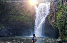 6h Private Tour in Ubud: Rice Terrace Swing, Temple, Waterfall