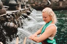 6h Private Tour in Ubud: Rice Terrace Swing, Temple, Waterfall