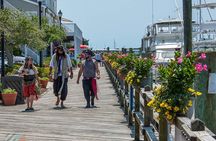 Exploration of Majestic Crystal Coast