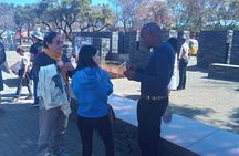 Soweto and Johannesburg Fun Tours 
