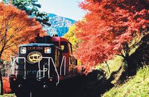 Sagano Romantic Train & Arashiyama, Kiyomizudera, Fushimi Inari Taisha Day Tour