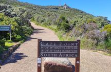 Cape of Good Hope, Penguins & Table Mountain Private Day Tour