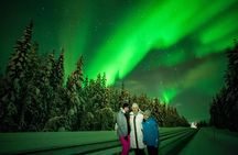 Family-Friendly: Northern Lights Adventure from Rovaniemi