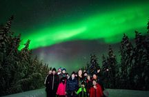 Family-Friendly: Northern Lights Adventure from Rovaniemi