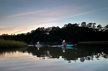 Kayak tour of Jamestown Island (Small Group or Private)