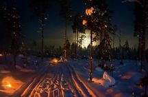 Late Night Ride with Finnhorses