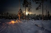 Late Night Ride with Finnhorses