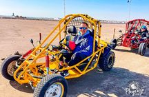 Excursion in Minibuggys in Paracas National Reserve