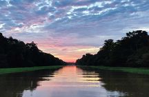 Private River Tour by Speedboat in the Amazon, Lily Pads & Nature