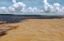 Private River Tour by Speedboat in the Amazon, Lily Pads & Nature