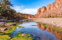 Explore The Desert Gateway from Marrakech to Ouarzazate