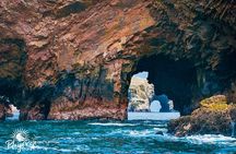 7-Hour Boat Tour Ballestas Islands and Paracas National Reserve