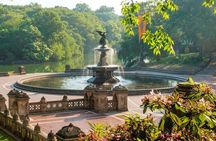 Central Park Wonders And Secrets Shared Walking Tour