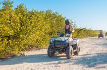 Providenciales 2 Hours ATV Adventure
