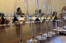 The Ultimate Tequila Experience: from Agave Field to Glass