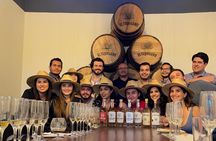 The Ultimate Tequila Experience: from Agave Field to Glass