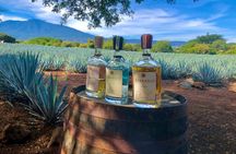 Tequila Full Experience!