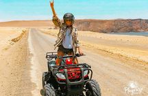 ATV Tour Adventure in Reserva Nacional de Paracas