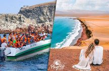 7-Hour Boat Tour Ballestas Islands and Paracas National Reserve