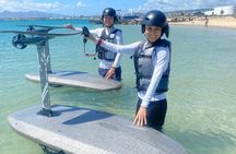 Group of 2 + mid length eFoil experience Honolulu HAWAII 