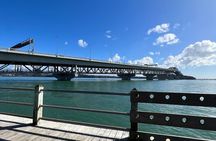 Waitangi Treaty Ground Day Trip Private Transport From Auckland 