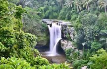 Bali Half-Day Car Charter: Ubud Waterfall Trip for 7 Hours