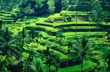Ubud Night Half Day Trip with Legong Dance Performance