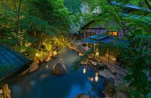 Private 1 Day Tour to Mt Fuji and Hakone: Onsen, Arts and Nature
