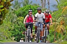 Bali Cycling and Uluwatu Tour Packages