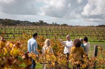 Full Day Winery Experience