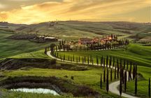 Guided tour in wonderful Tuscany