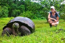 10 Days Galapagos Island Hopping: Santa Cruz & Isabela Island