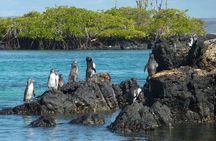 10 Days Galapagos Island Hopping: Santa Cruz & Isabela Island