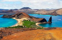 10 Days Galapagos Island Hopping: Santa Cruz & Isabela Island