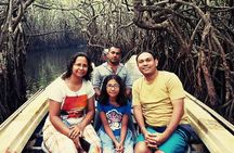 7 Day Private Guided Tour in Sri Lanka