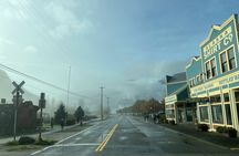 Half Day Suspension Bridge Tour in Skagway and Yukon