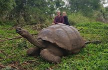 Santa Cruz Highland Tour: Giant Tortoises, Lava Tunnel & Gemelos