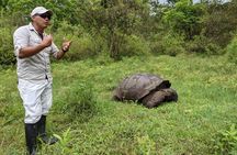 Santa Cruz Highland Tour: Giant Tortoises, Lava Tunnel & Gemelos