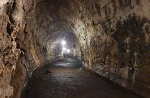 Santa Cruz Highland Tour: Giant Tortoises, Lava Tunnel & Gemelos