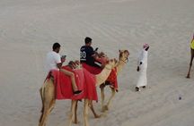 Doha-Private half day safari Sunrise/Sunset