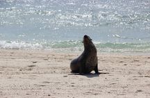 10 Days Galapagos Island Hopping: Santa Cruz & Isabela Island