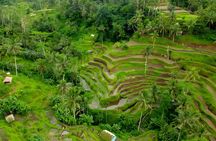 Bali Half-Day Car Charter: Ubud Waterfall Trip for 7 Hours