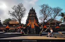 Amazing Bali Swing Experience with Ubud Full Day Tour