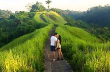 Bali Full-Day Car Charter: All About Ubud Village Trip Experience